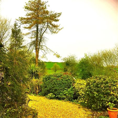 Heddfan Bed & Breakfast Llanboidy Luaran gambar