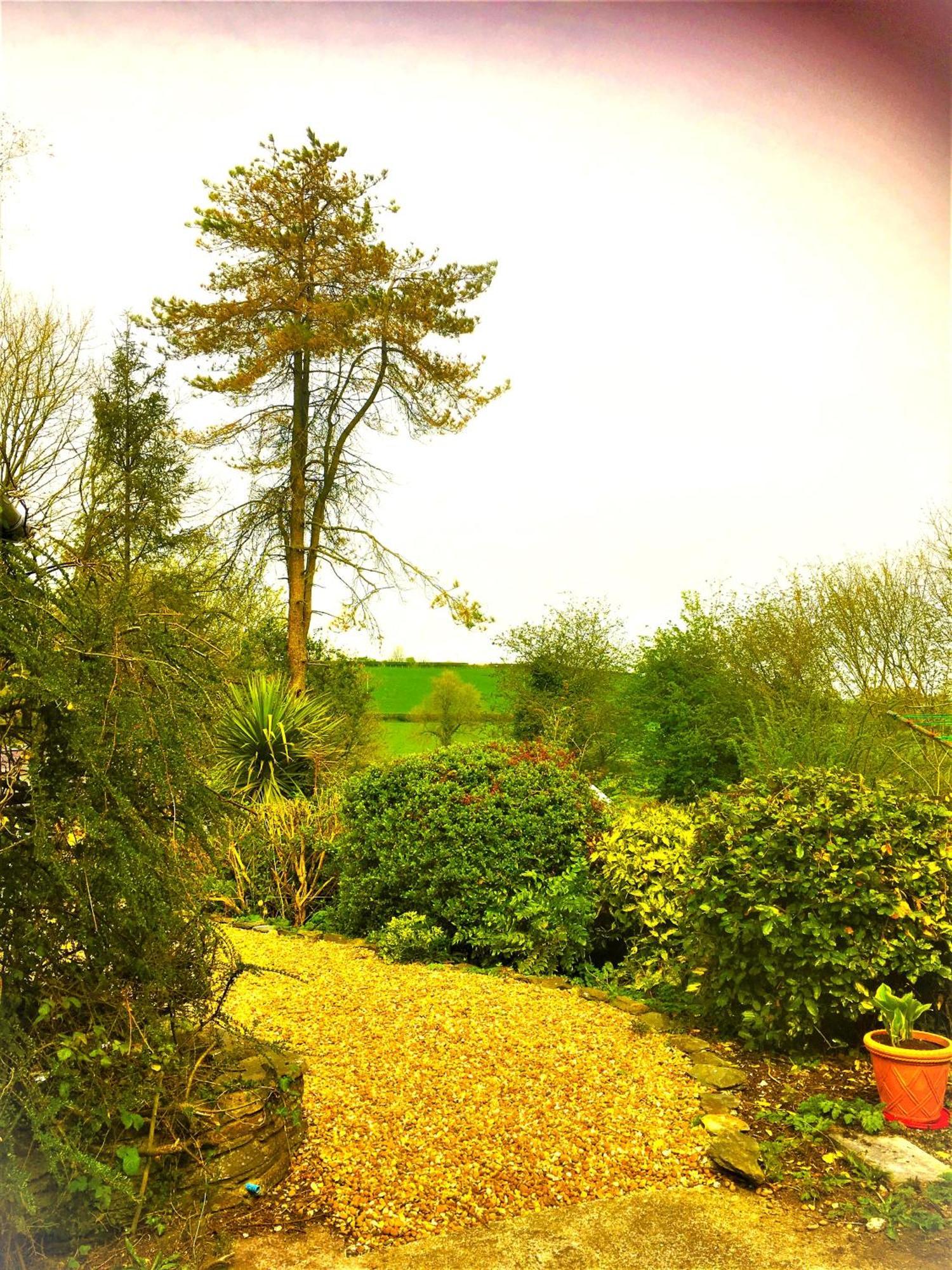 Heddfan Bed & Breakfast Llanboidy Luaran gambar